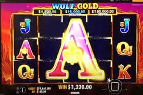 Wolf Gold argent réel